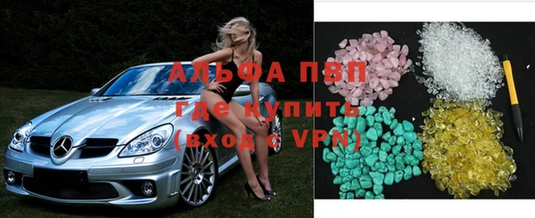 стафф Аркадак