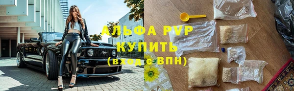 трава Арсеньев