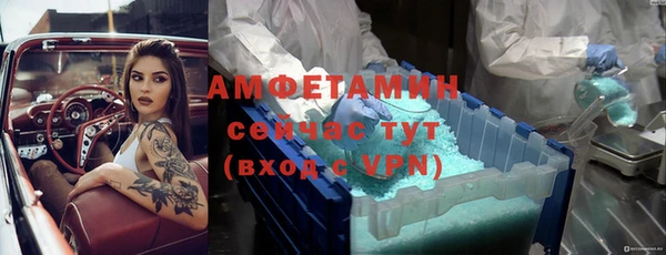 стафф Аркадак